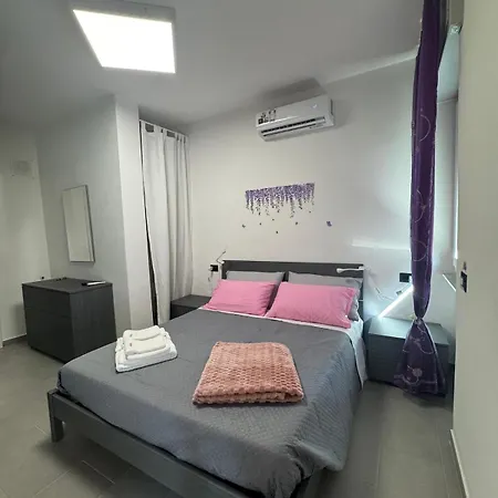 Tulipano 斯培西亚